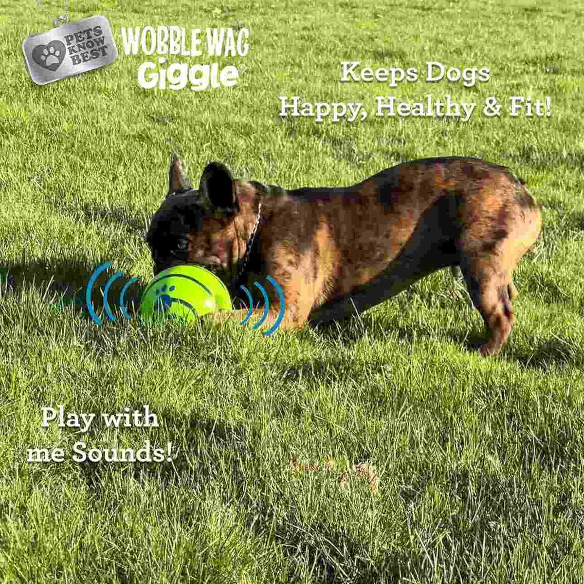 Interactive Giggle Sound Ball for All Size Dogs