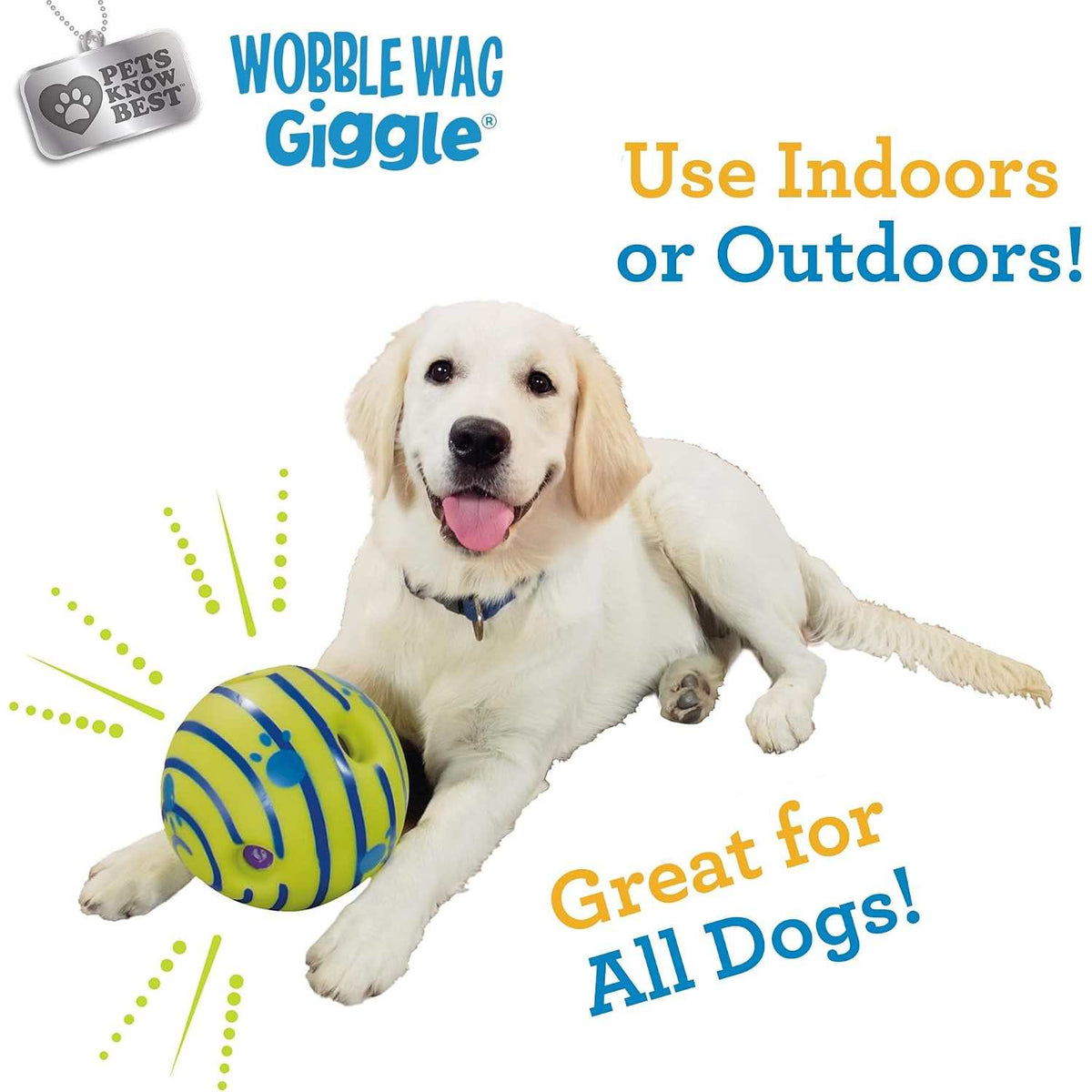 Interactive Giggle Sound Ball for All Size Dogs