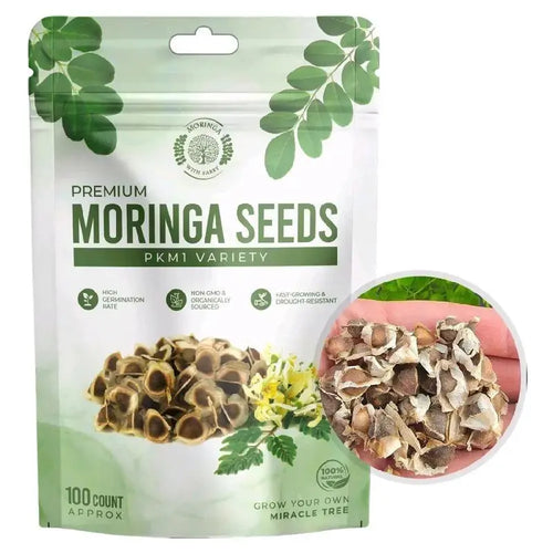 Moringa Tree Seeds – PKM1 Variety For Home Gardening & Planting