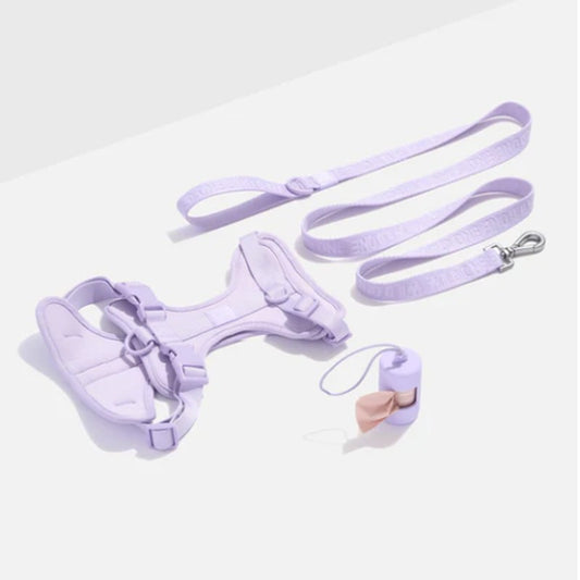 Ultimate Comfort Dog Walk Kit: Padded Harness & Leash Set