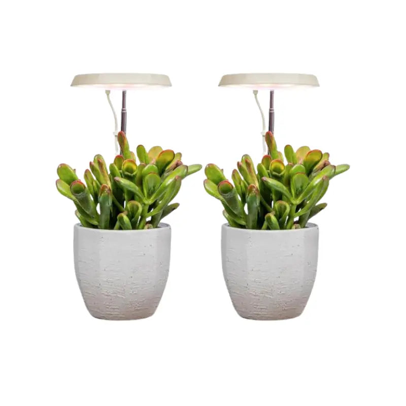3-Arm Indoor Plant Grow Light