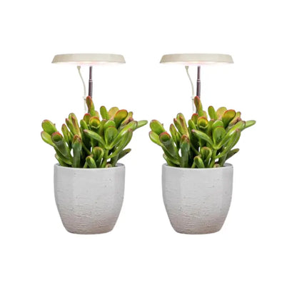 3-Arm Indoor Plant Grow Light