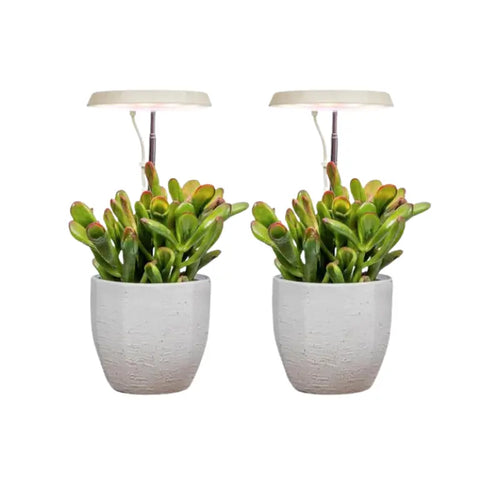 3-Arm Indoor Plant Grow Light