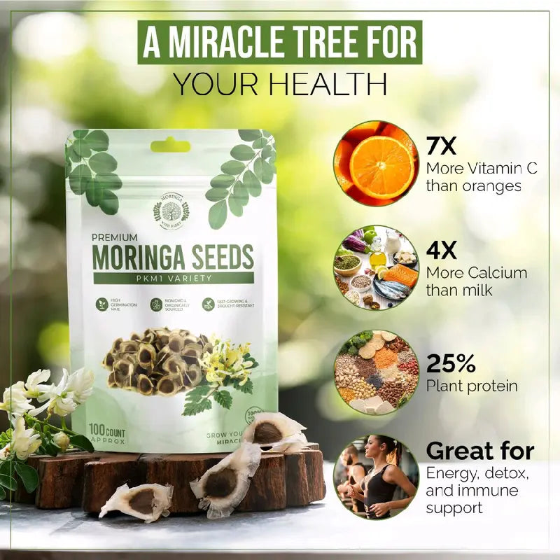 Moringa Tree Seeds – PKM1 Variety For Home Gardening & Planting