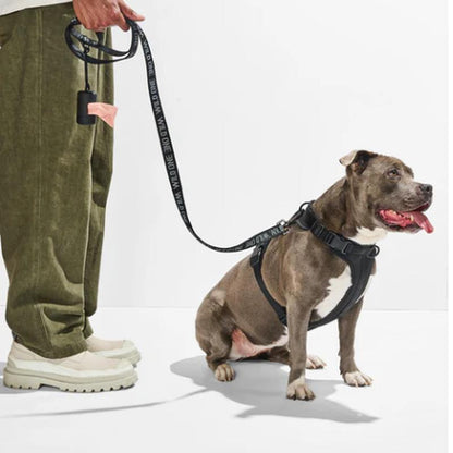 Ultimate Comfort Dog Walk Kit: Padded Harness & Leash Set