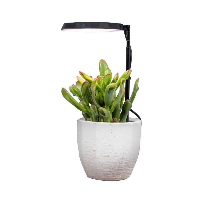 3-Arm Indoor Plant Grow Light