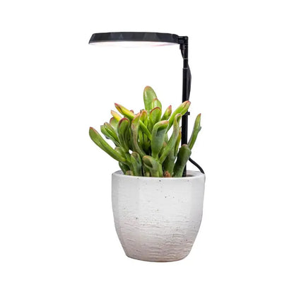 3-Arm Indoor Plant Grow Light