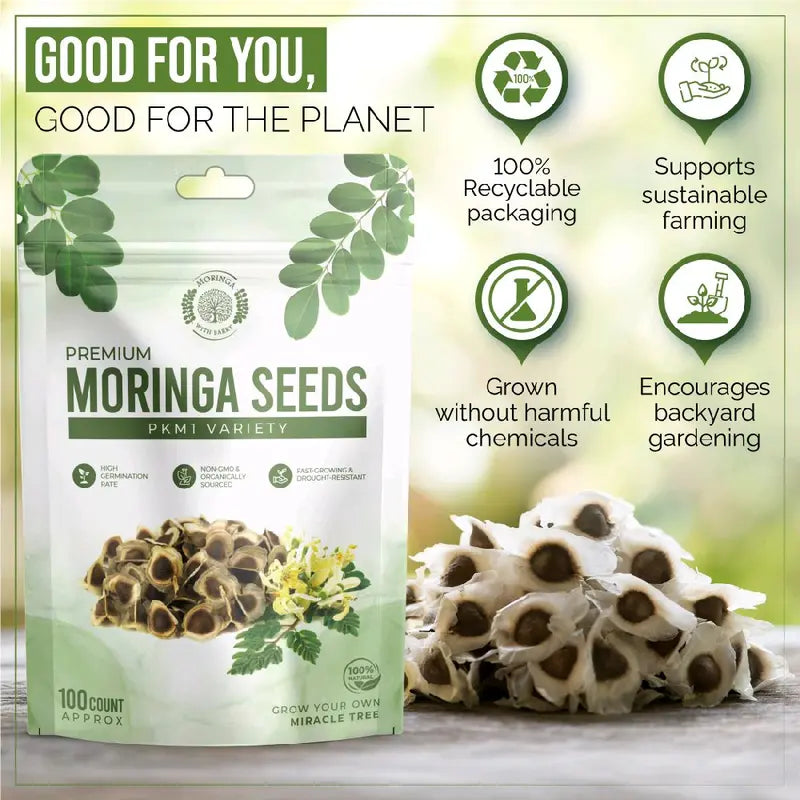 Moringa Tree Seeds – PKM1 Variety For Home Gardening & Planting