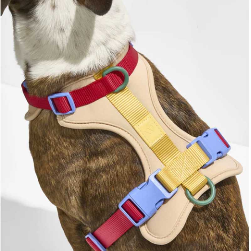 Ultimate Comfort Dog Walk Kit: Padded Harness & Leash Set