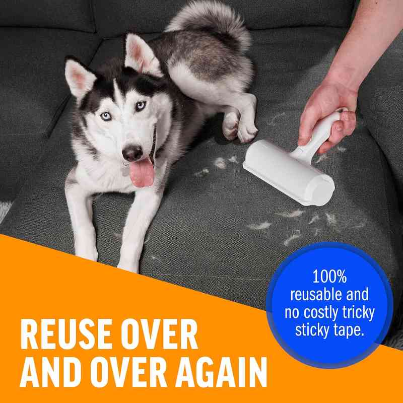 Effortless Pet Hair Remover – Clean Furniture & Carpets Instantly Without Sticky Tape