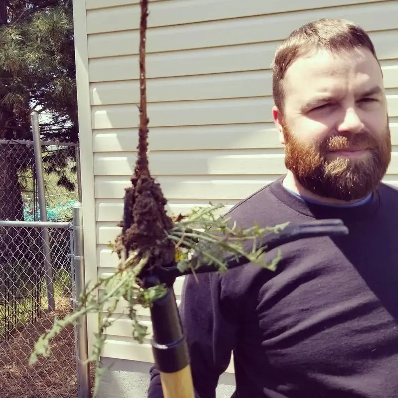 Original Stand-Up Weed Puller Tool – Remove Roots Without Bending