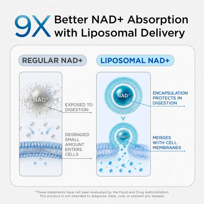 Liposomal NAD+ Men's Complex: Peak Cellular Energy, Nitric Oxide Boost & Prostate Health