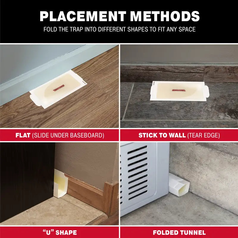 Sticky Mouse & Insect Glue Boards