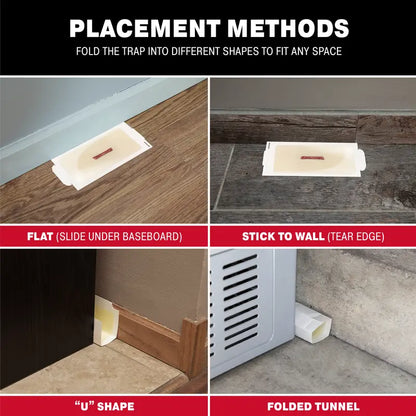 Sticky Mouse & Insect Glue Boards