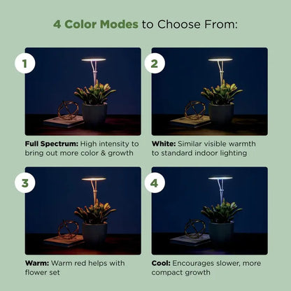 3-Arm Indoor Plant Grow Light