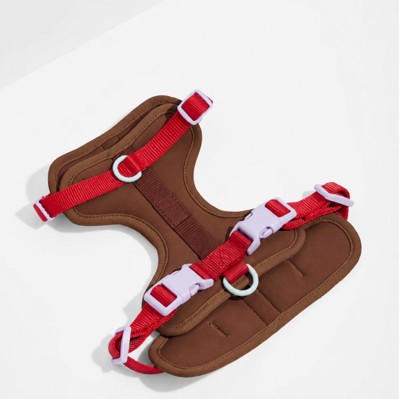 No-Pull Padded Dog Harness with Front Leash Clip & Reflective Safety Straps