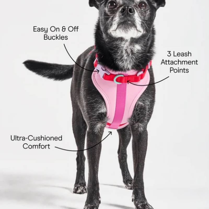 No-Pull Padded Dog Harness with Front Leash Clip & Reflective Safety Straps