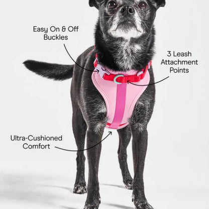 No-Pull Padded Dog Harness with Front Leash Clip & Reflective Safety Straps