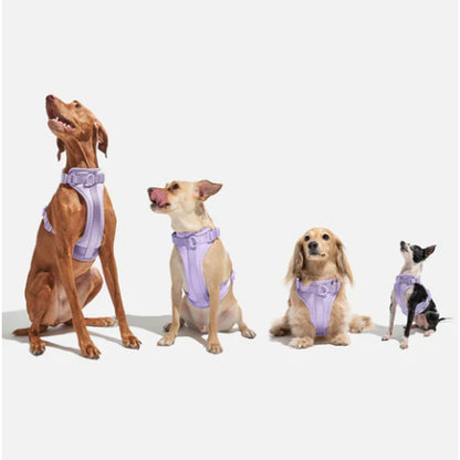 No-Pull Padded Dog Harness with Front Leash Clip & Reflective Safety Straps