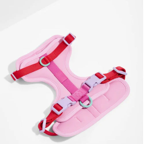 No-Pull Padded Dog Harness with Front Leash Clip & Reflective Safety Straps