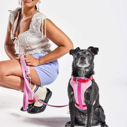 No-Pull Padded Dog Harness with Front Leash Clip & Reflective Safety Straps